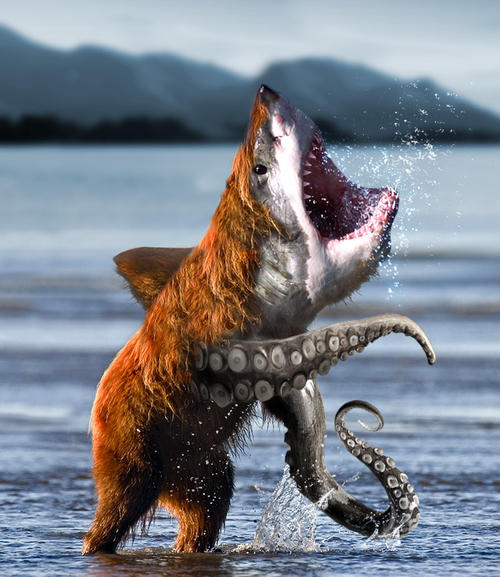 bearsharktopus picture